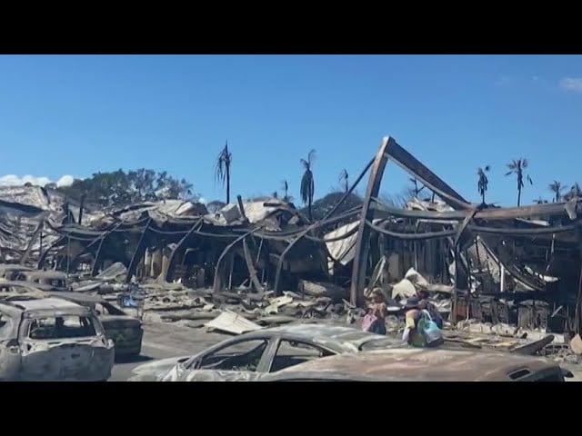 Couple Who Survived Maui Fires: ‘Biden Has Really Failed Us’ (VIDEO)