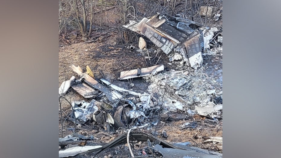 Virginia plane crash claims lives of 4 adults, 1 child; reported emergency before crash