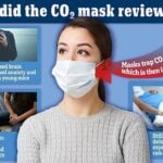 New Study Suggests Carbon Dioxide Buildup from Wearing Face Masks Increase Risk of Stillbirths, Testicular Dysfunction, & Cognitive Deterioration