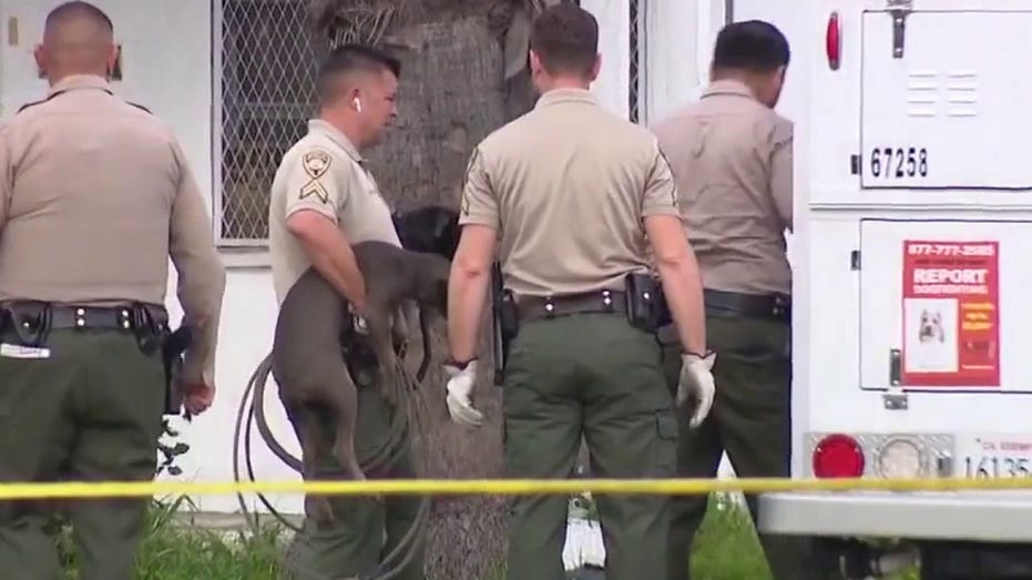 California man mauled, killed by pit bulls in yard: police