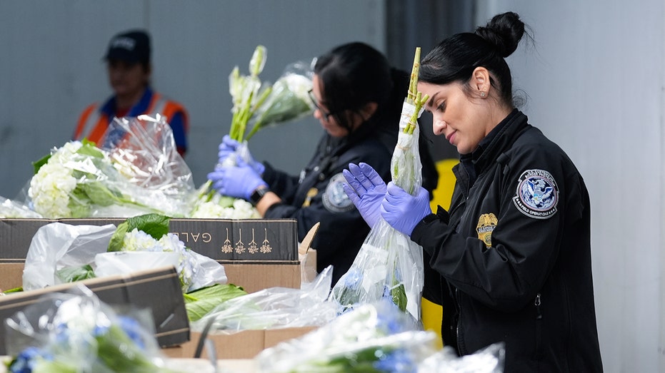 Millions of Valentine’s Day flowers make their way across the United States with a layover in Miami