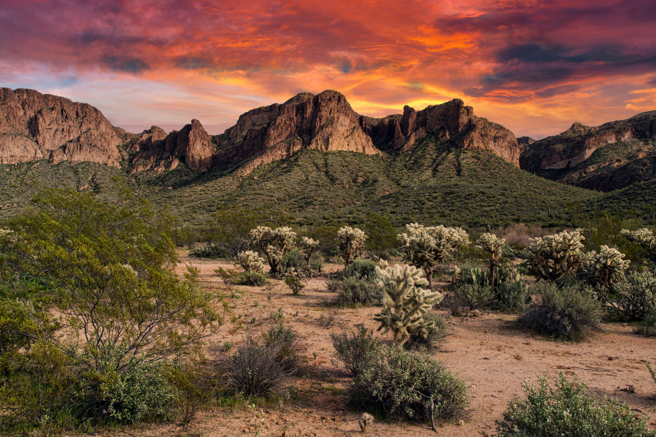 High School Grad’s Body Found In Desert Bonfire, Death Described As ‘Malicious’