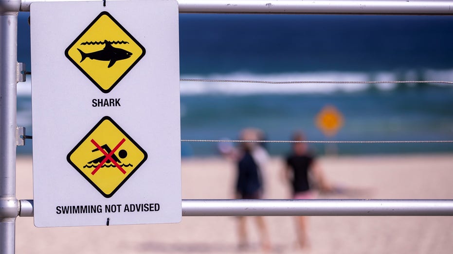 Pieces of wetsuit, surfboard found after shark attack in South Australia