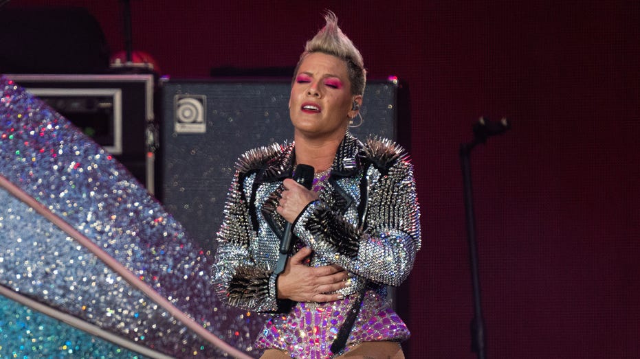 Singer Pink shocked after fan tosses dead mother's ashes on concert stage