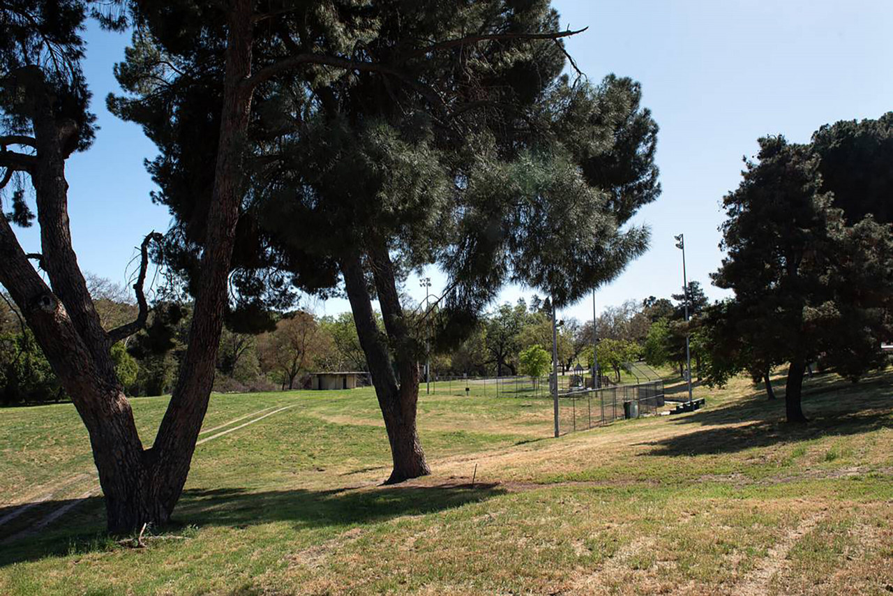 Homeless Woman Sleeping In California Park Killed After Being Run Over By Landscaper