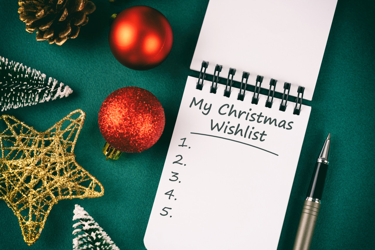 I Put Together My Own Grown-Up Christmas List