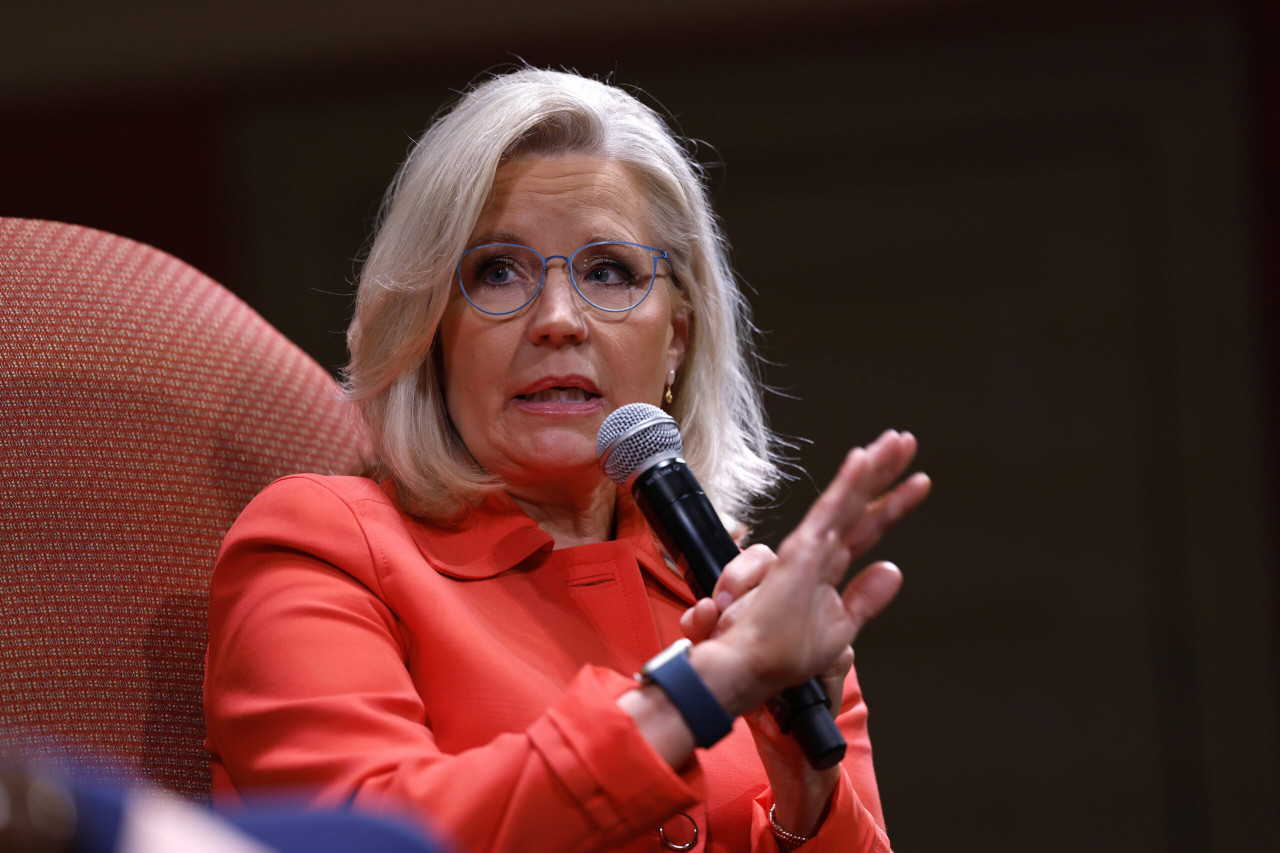 Liz Cheney Endorses Kamala Harris After Previously Warning How Radical She Was