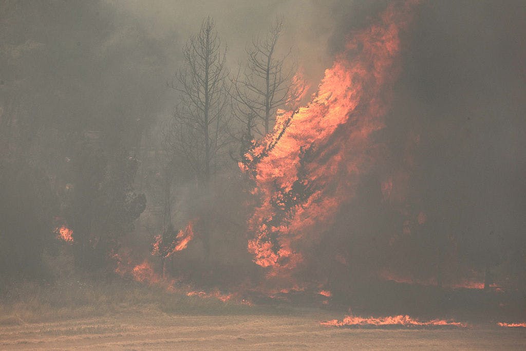 Dangerous Fires Rage In Israel, National Emergency Declared. Palestinians Call For More Arson.
