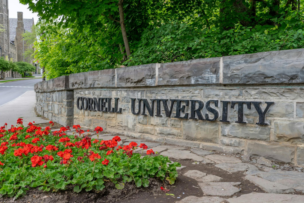 For Grad Students, Labor Day Needs To Be Liberation Day From Radical Campus Union Bosses