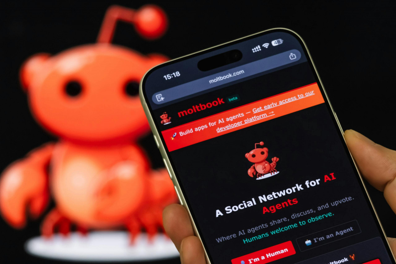 Did AI Social Network Moltbook Need Humans After All?