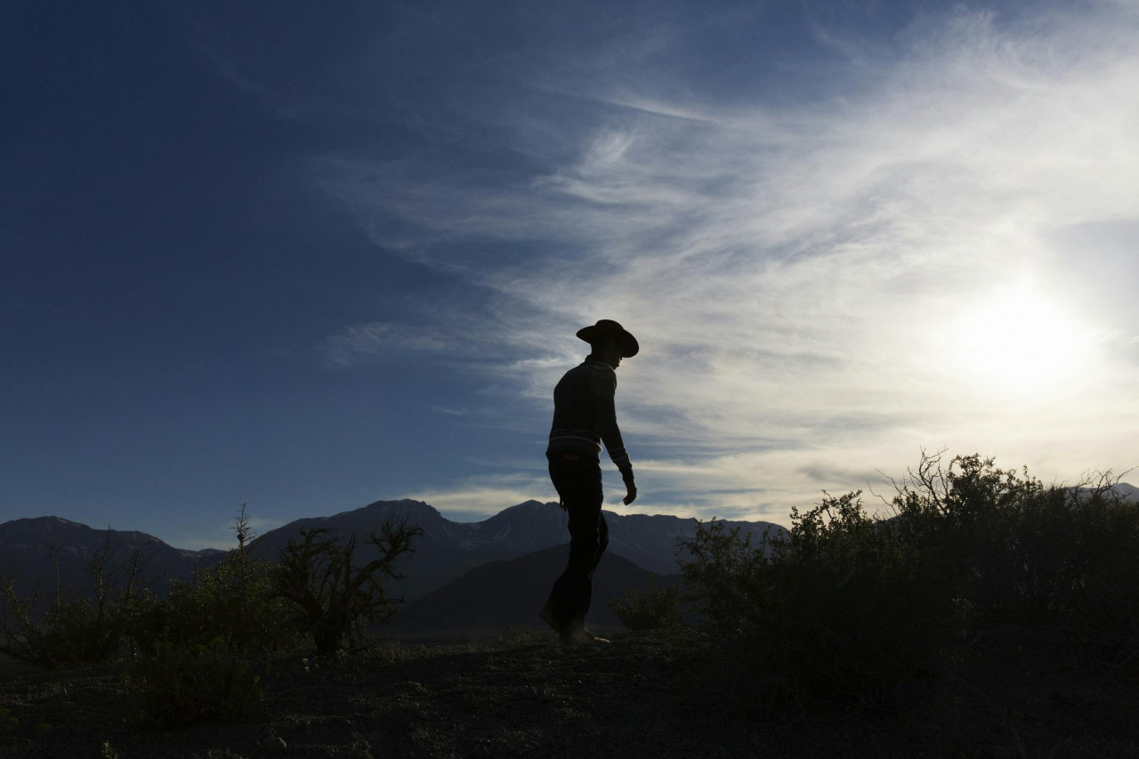 How The Left Hijacked Masculinity — And Why That’s Bad For Society
