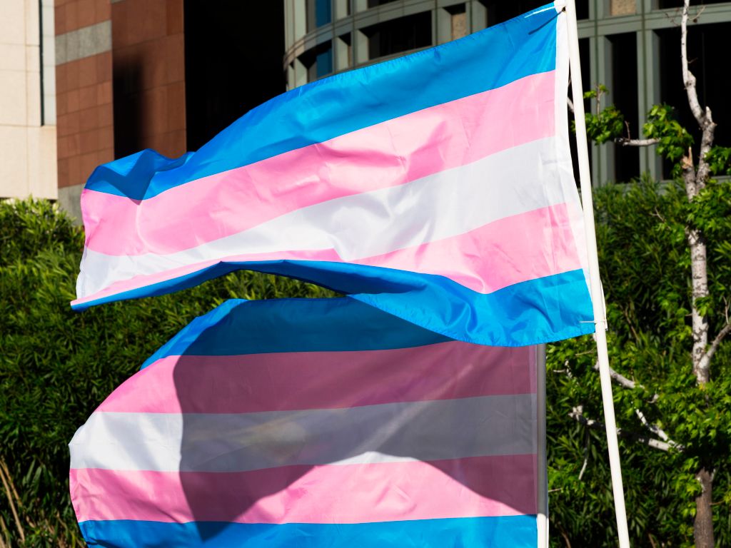AMC Theatres Cancels De-Transitioner Film Following Trans Group’s De-Platforming Campaign