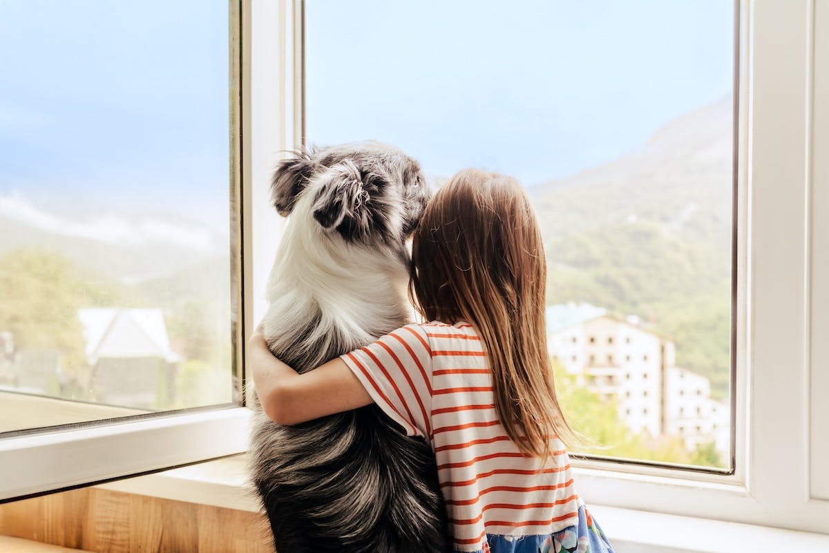 Ring’s ‘Lost Dog’ Super Bowl Commercial Sparks Mass Surveillance Fears