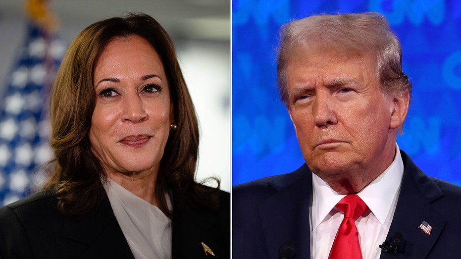 Harris, Trump favorability ratings are on the rise among American voters, poll finds