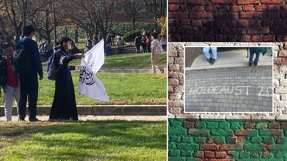 Maryland Jewish students react to 'Holocaust 2.0' graffiti, Taliban flag appearing on campus