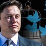 JUST IN: Elon Musk Announces New CEO of Twitter
