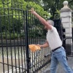 Conservative Artist Summoned for Throwing Pizza at NY City Hall in Protest of Democrat Crackdown on Wood-Fired Pizza to Combat Climate Change(VIDEO)