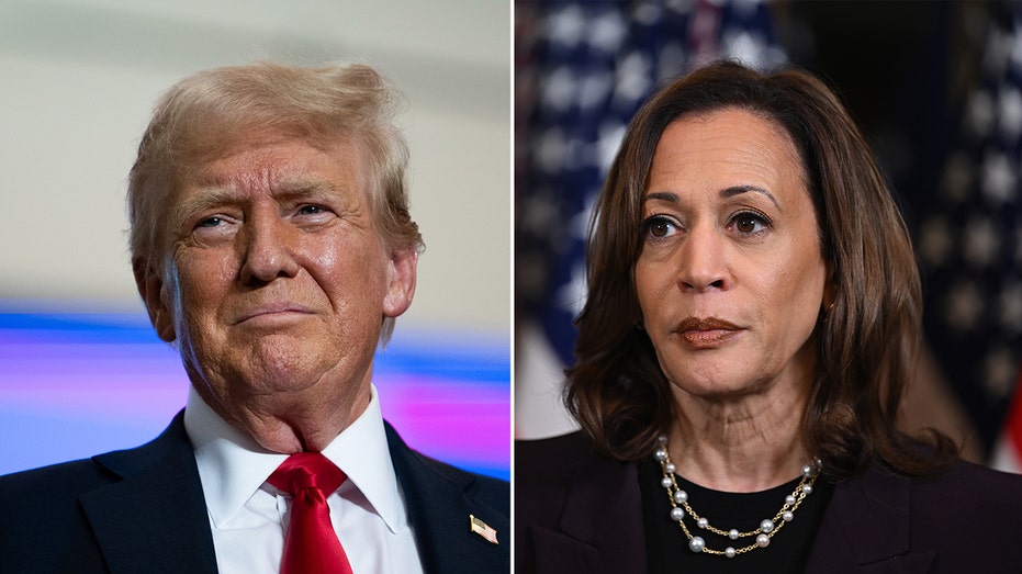 Trump says 'new category' of crime under Biden-Harris administration is 'beyond control'