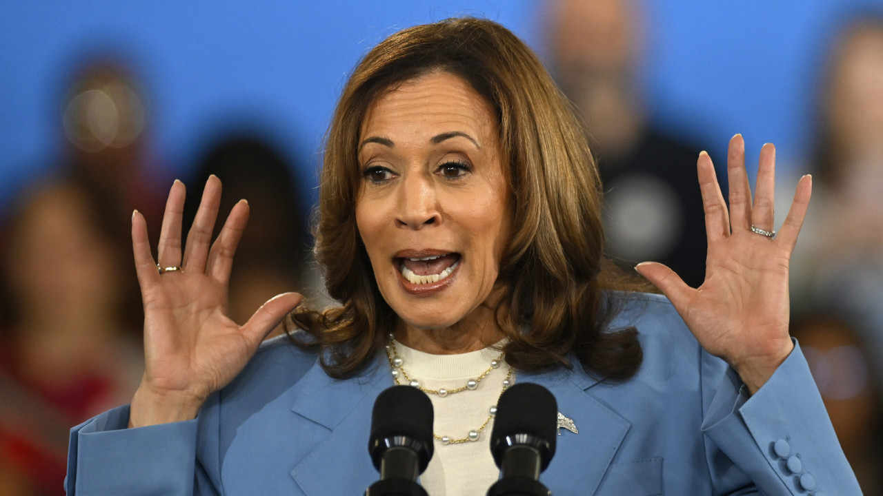 Left-Wing Economic Columnist Blasts Harris’ Price Controls: ‘Hard To Exaggerate How Bad This Policy Is’