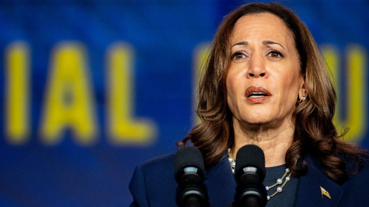 Democrat Strategist Tells Party To Get ‘Sober’ Over Harris: Excitement Over Her Is ‘Irrational Exuberance’