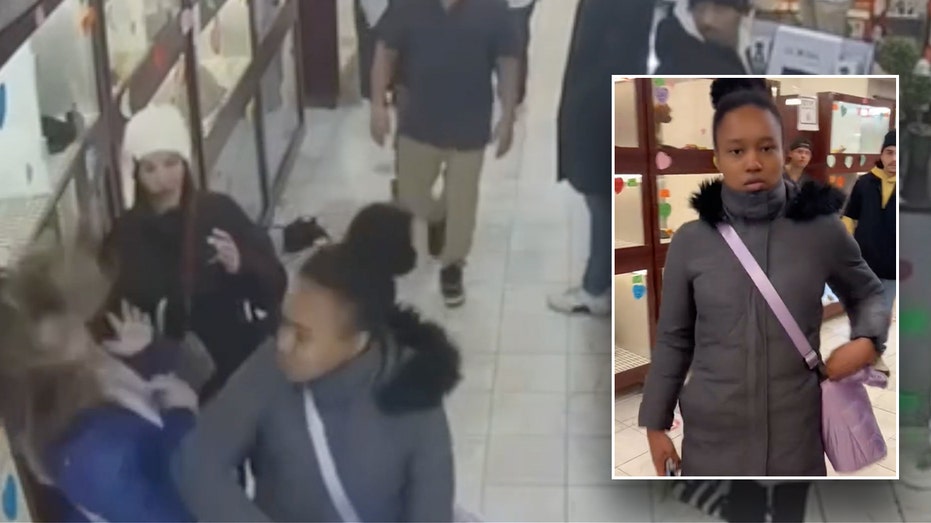 Raging woman kicks puppies, leaves Texas tourist bloodied in NYC pet store rampage caught on video