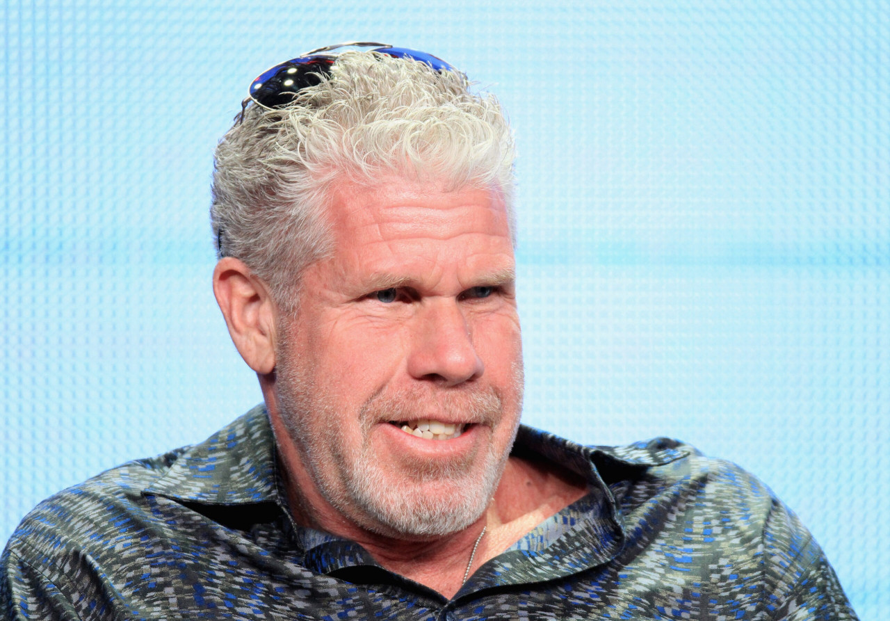 Ron Perlman Deletes Video Threatening To Destroy Studio Exec’s Home