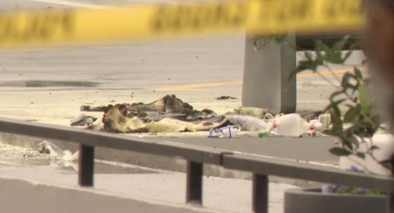 Protester Sets Self On Fire In Georgia While Wearing Palestinian Flag