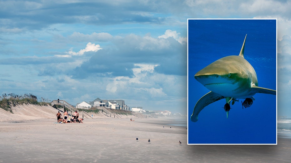 Shark bites teenager's leg in attack at North Carolina beach