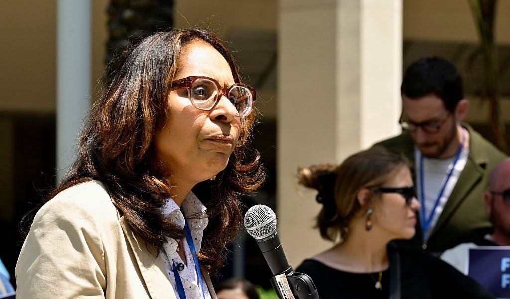 California Democrat Says ICE Raids Are ‘Domestic Terrorism’