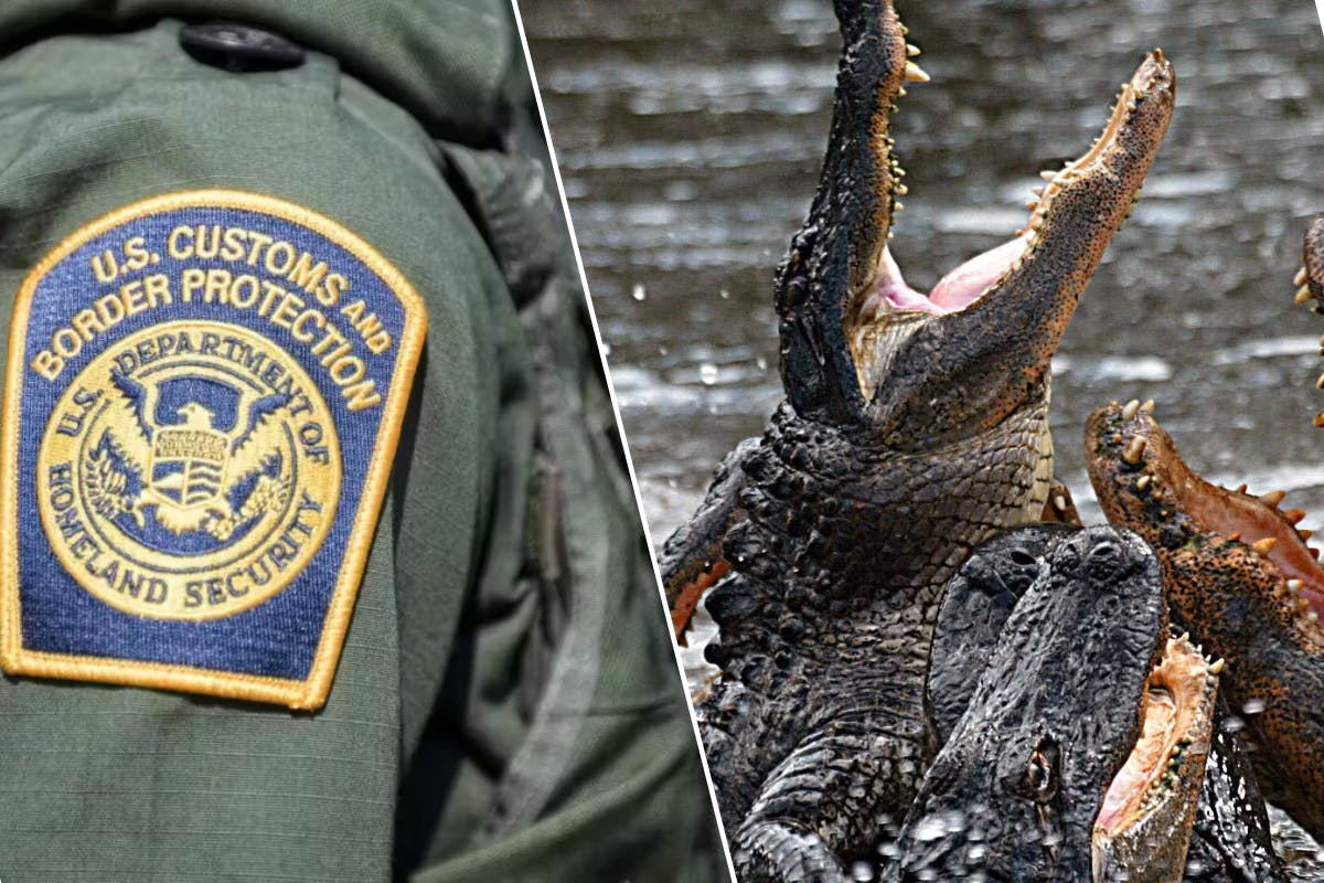 Why It Might Be Impossible For Illegals To Escape Florida’s ‘Alligator Alcatraz’