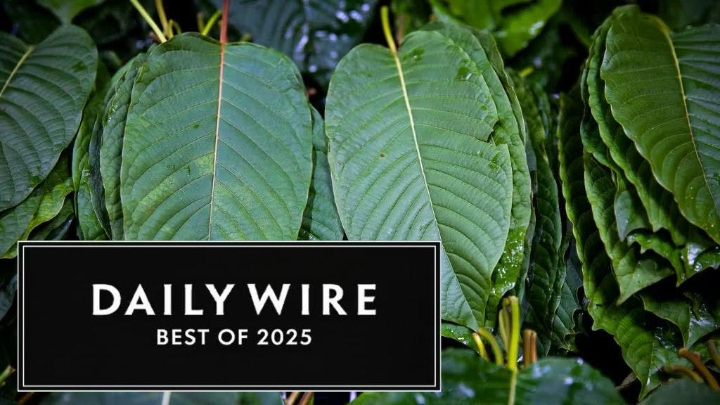 Best Of 2025: This Drug Is Sold in Your Gas Station. It May Trigger the ‘Fourth Wave’ Of The Opioid Crisis.