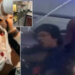 Deranged Thug Stabs Fellow Passenger Mid-Air During Flight to Caribbean Island (VIDEO)