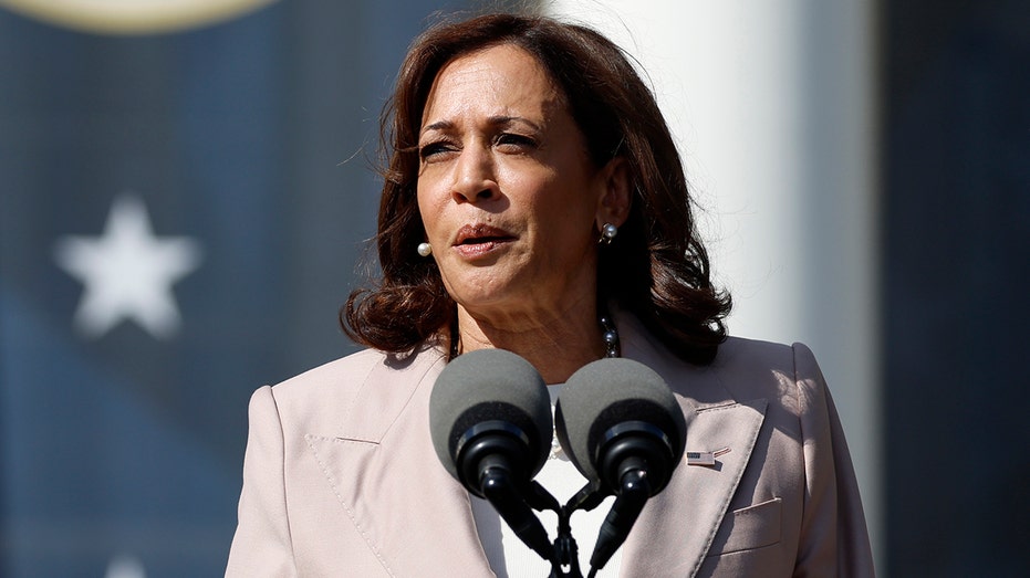 Kamala Harris reveals Biden's 2023 priorities includes inflation, job growth: 'Never been more optimistic'