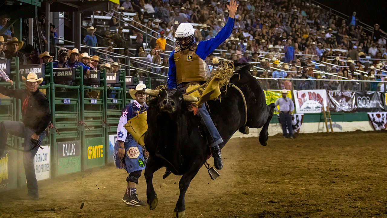 ‘PBR Friday Night Live’ bucks into Fox Nation with high-octane debut