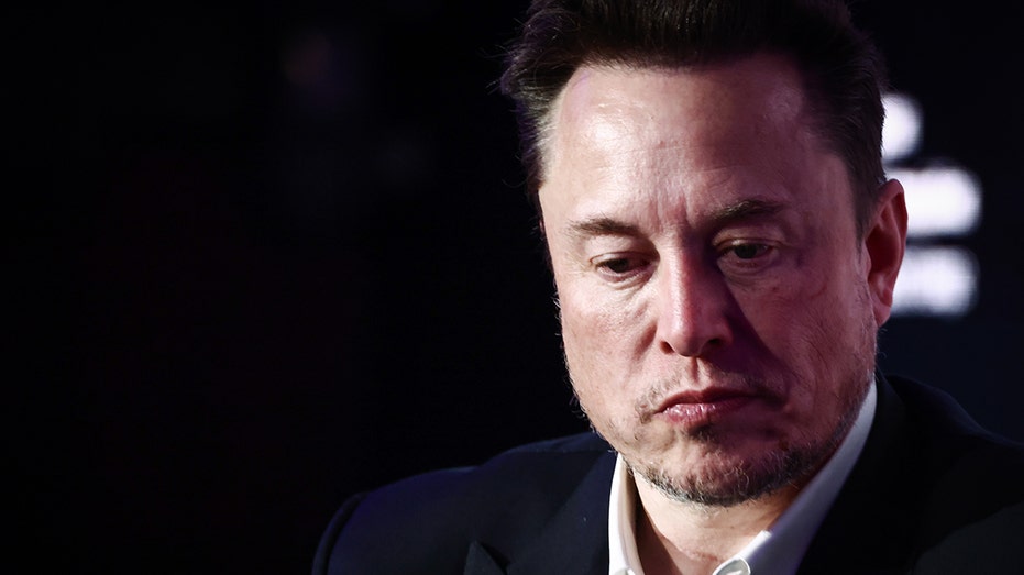 Elon Musk hits back at press for 'anti-immigrant' label: 'Nothing could be further from the truth'