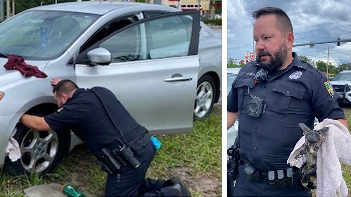 Good deed: Florida police officer receives 'letter of commendation' for rescuing a trapped kitten