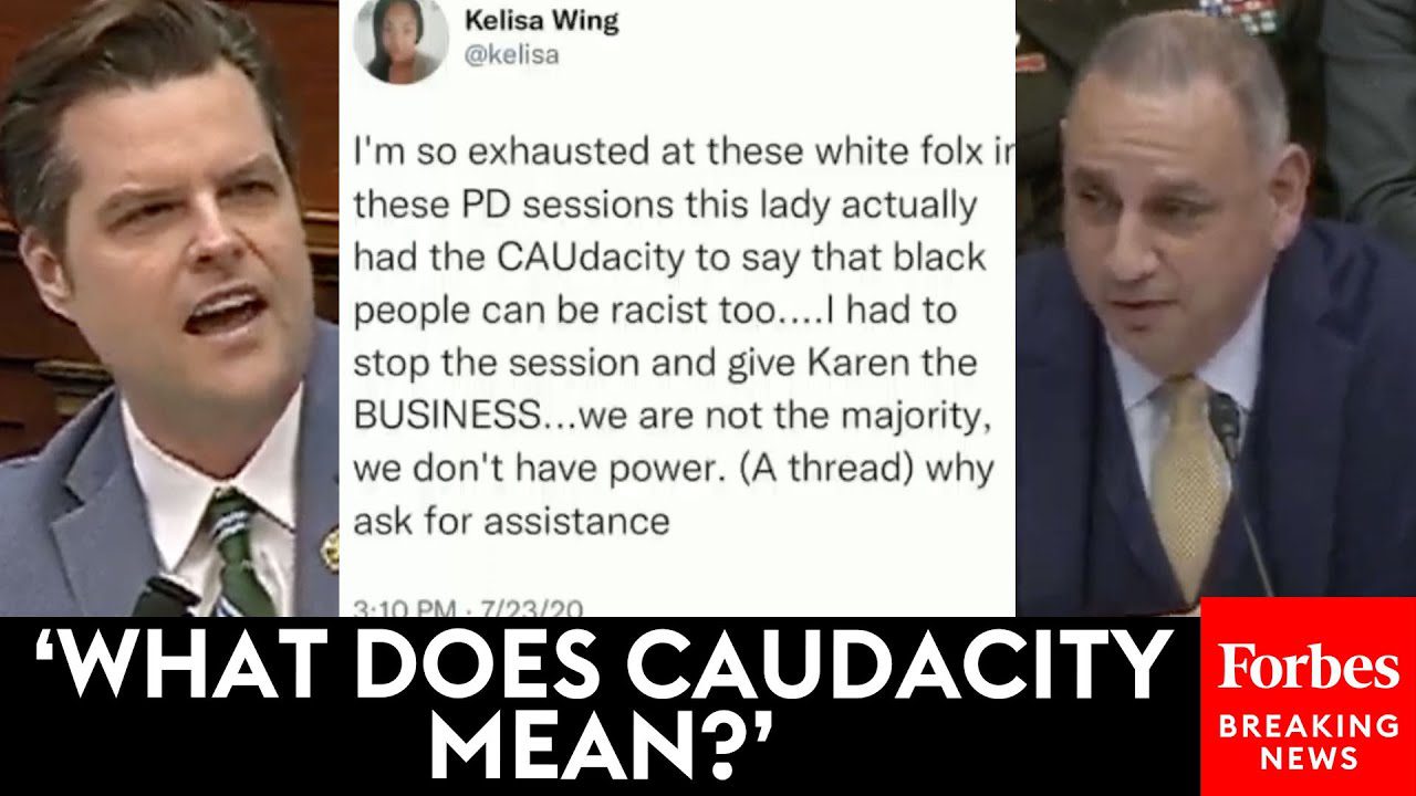 Matt Gaetz Obliterates Witness at Hearing on DEI in the Armed Forces (VIDEO)
