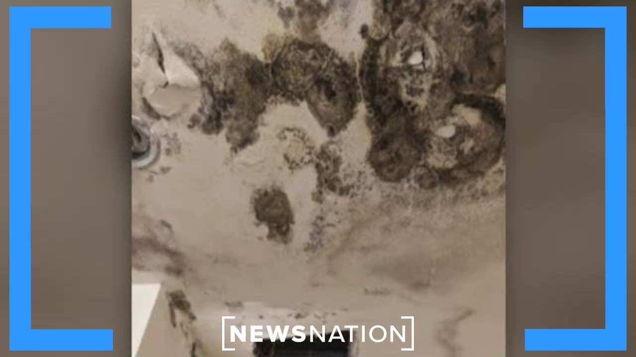Lawmakers Blast the Biden Administration Over Disgusting Conditions in Some Military Barracks