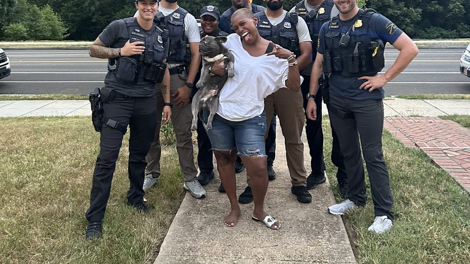 Washington, DC police reunite woman with French bulldog stolen during armed robbery