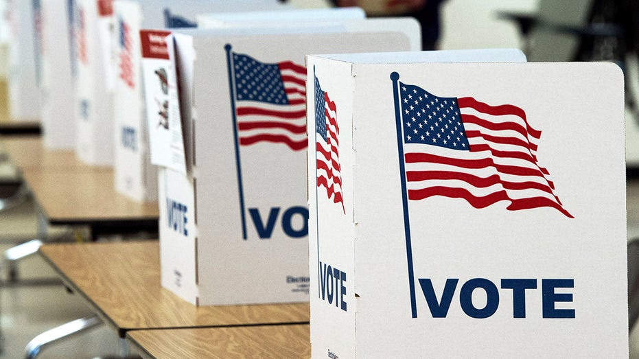 Ohio purging hundreds of non-citizens from state voter rolls amid 2024 election audit