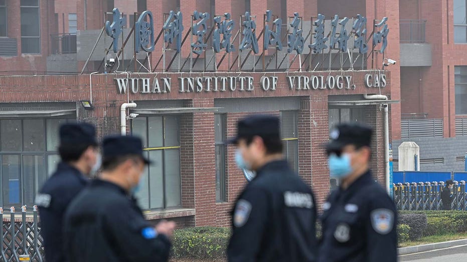 Scientist sickened at Wuhan lab early in coronavirus pandemic was US-funded