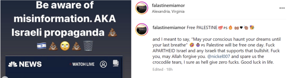 Nejwa Ali Instagram