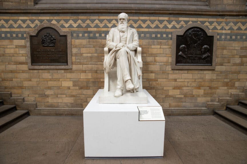 UNITED KINGDOM, LONDON - AUGUST 29: A statue of Charles Darwin in Hintze Hall at the Natural History Museum in South Kensington on August 29, 2022 in Sydney, Australia.